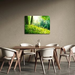 Kép - Varázslatos rét tele pitypanggal (70x50 cm)