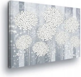 Vászonkép 80x60 Absztrakt virágok növény ezüst szürke fehér finomság könnyedség
