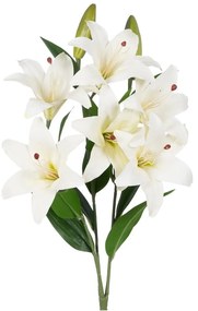 Művirág (magasság 59 cm) Lily – Ixia