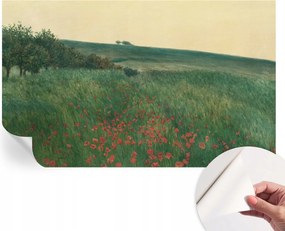 Dekoratív öntapadós fotótapéta Hálószobába Pipacs mezők 416x254 cm