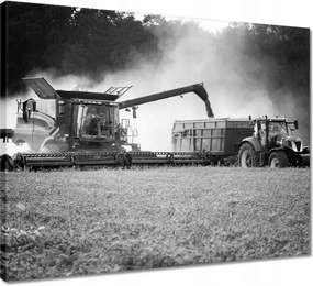 Vászonkép 50x40 Aratás Traktor Kombájn