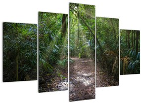 Kép - Napsugarak a dzsungelben (150x105 cm)