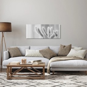 Kép - Nyuszi farok fű (120x50 cm)