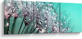 Kép - harmatos növény (órával) (90x30 cm)