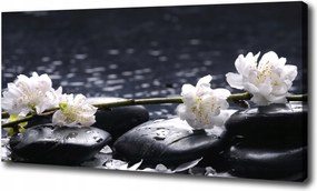 Canvas falikép Cseresznyevirág 100x70 cm