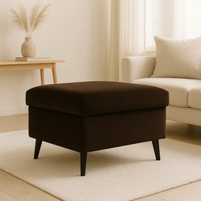 Puff tárolórekesszel, nyitható puff, lábtartó, kárpitozott pad, 60cm