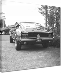 Vászonkép 40x40 Ford Mustang