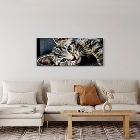 Kép - Cica (120x50 cm)
