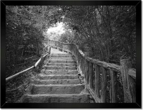 Poszterek keretben 40x30 Lépcsők a trópusokon