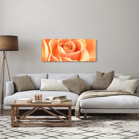 Kép - A Rózsák, barack színű (120x50 cm)