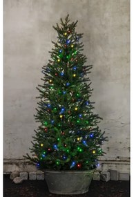 Eglo 410719 - LED Kültéri karácsonyi lánc SERIE LED 160xLED 2m IP44 többszínű