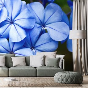 Öntapadó fotótapéta vad kék virágok