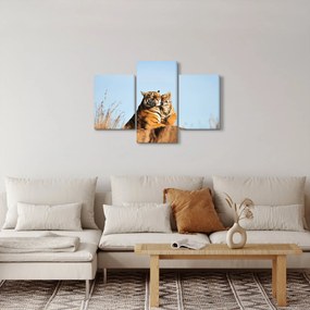 Kép - Tigris és a kölyke (90x60 cm)