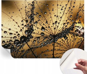 Öntapadós fotótapéta Divatos Finom cseppek 312x219 cm