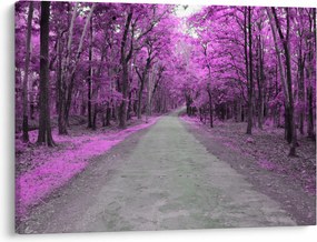Kép - Út a parkon (70x50 cm)