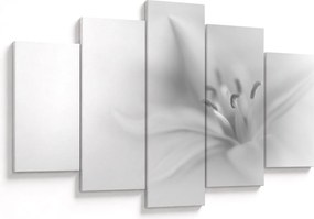 Kép - Delicate Lily (150x105 cm)