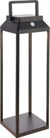 ENDON 96932 LITERNA Modern Kültéri Állólámpa Fekete LED IP44