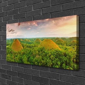 Vászonkép Jungle-erdő Természetvédelmi 100x50 cm