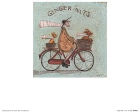 Sam Toft - Ginger Nuts Festmény reprodukció, (30 x 30 cm)