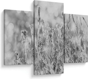 Kép - Hideg tél (90x60 cm)