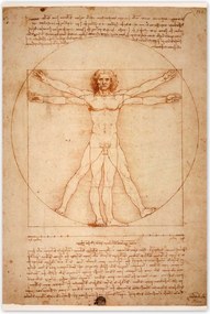 Poszterek 60x90 Vitruvius ember