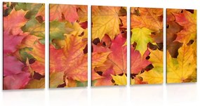5-részes kép őszi levelek