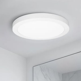 Solight WD244-W - 2 az 1-ben LED-panel 24W/230V 3000/4000/6000K, átmérő 30 cm, IP54, fehér