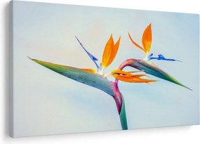 Virág képe (90x60 cm)