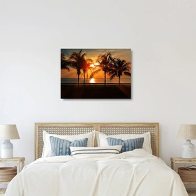 Pálmafa a naplementében képe (üvegen) (70x50 cm)