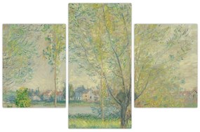 Kép - Claude Monet, The Willows, reprodukciók (90x60 cm)