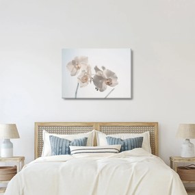 Fehér orchidea képe (70x50 cm)