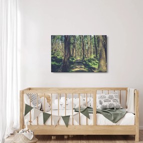 Kép egy út a fák között (90x60 cm)