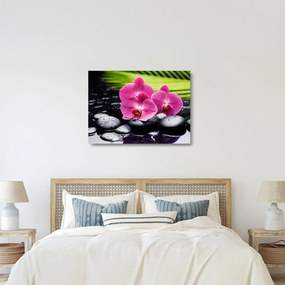 Üveg kép - Rózsaszín orchidea pálmalevéllel (70x50 cm)