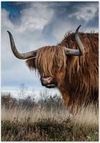 Poszterek 70x100 Felvidéki tehén