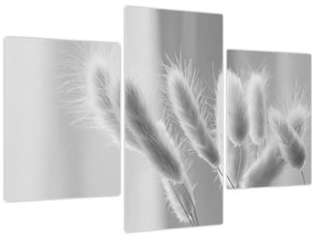 Kép - Nyuszi farok fű (90x60 cm)