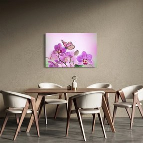 Kép - Pillangó orchidea virágon, lila (90x60 cm)