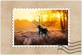 Poszterek 120x80 Chopper az erdőn