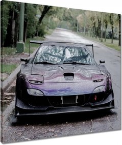 Vászonkép 50x50 Autó Fura Sport