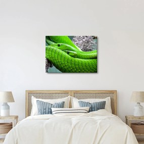 Zöld kígyók képe (70x50 cm)