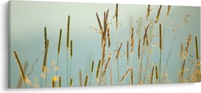 Kép - Réti pillanat (120x50 cm)