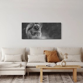 Kép - Mókus télen (120x50 cm)