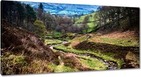 Vászonkép 115x55 Patak a hegyekben