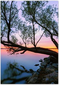 Poszterek 70x100 Sziklák Fa Tó