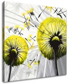 Gario Vászonkép Gyönyöru zöld pitypangok Méret: 50 x 40 cm