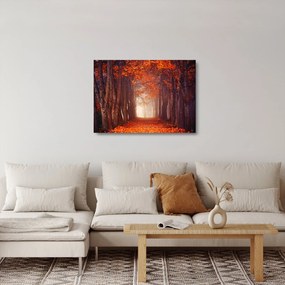 Kép - őszi erdő (üvegen) (70x50 cm)