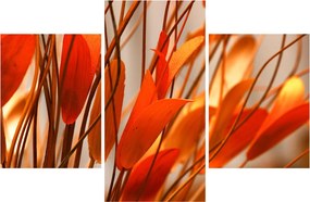 A szirmok képe (90x60 cm)