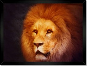 Poszterek keretben 40x30 Oroszlánkirály