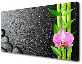 Canvas kép Bamboo Stem Flower Plant 100x50 cm