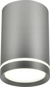 Matt ezüst csöves lámpa 15W GU10 Candellux