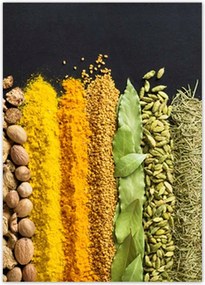 Poszterek 50x70 Színes fűszer szett